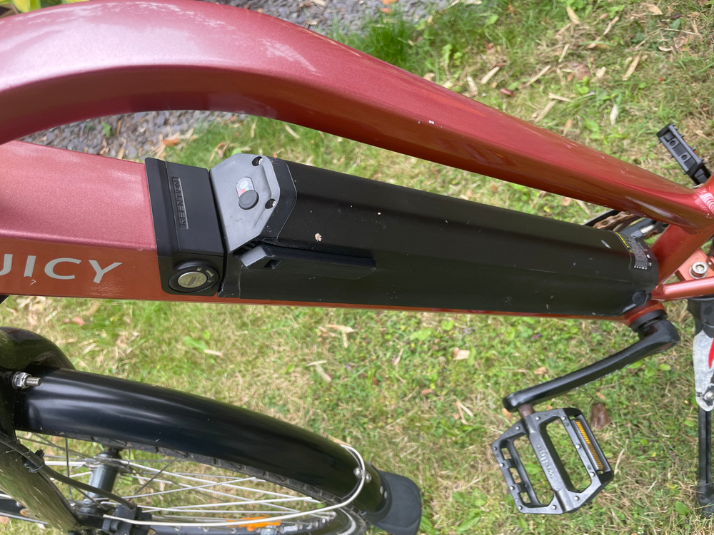 Juicy Roller E-BIKE TQ 73 2019