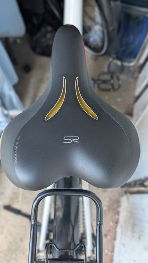 Raleigh Motus Grand Tour Low Step Bosch 2019