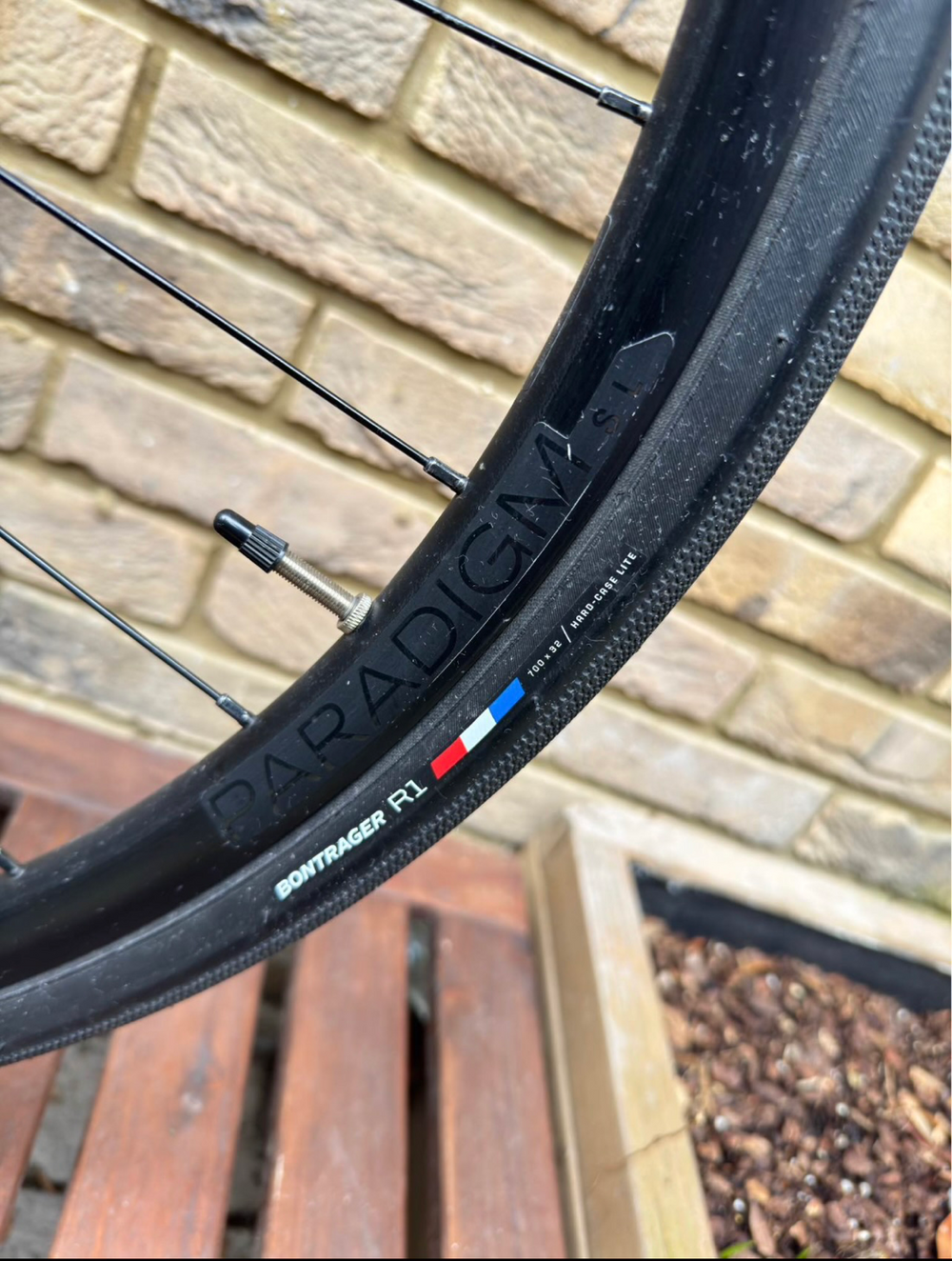 Trek Domane AL 2 Disc 2025