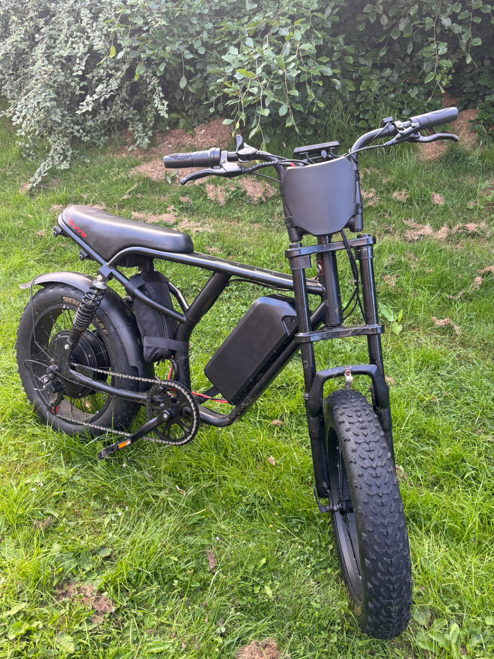 Custom Fat bike 2025