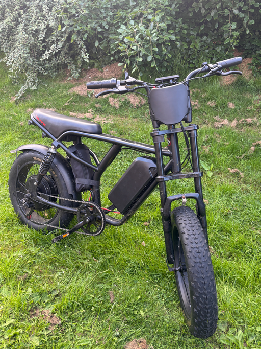 Custom Fat bike 2025