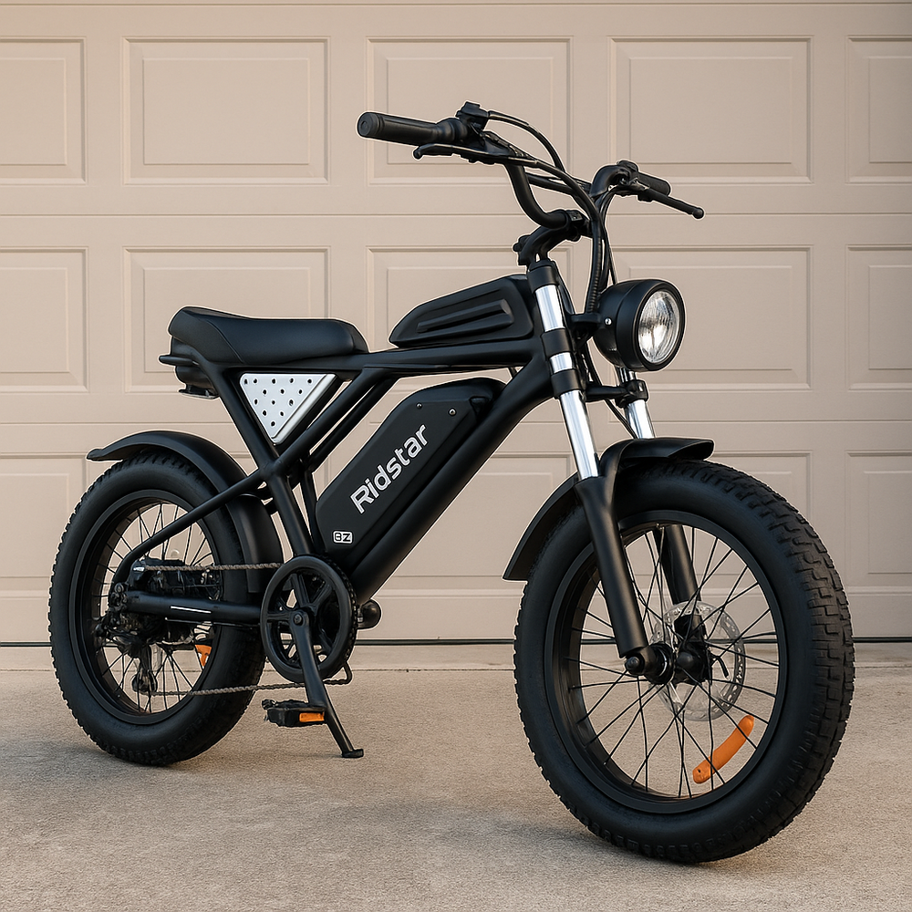 Ridstar Q20 2024