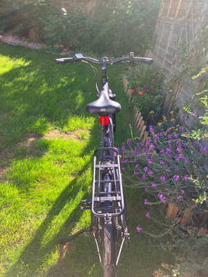 Raleigh Motus Crossbar Bosch 2022
