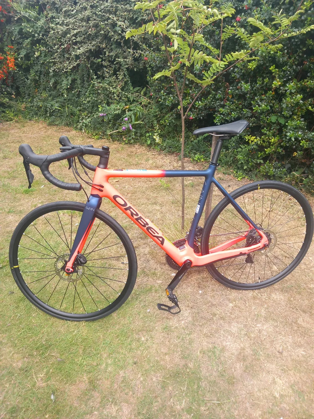 Orbea Ebikemotion x35 2020