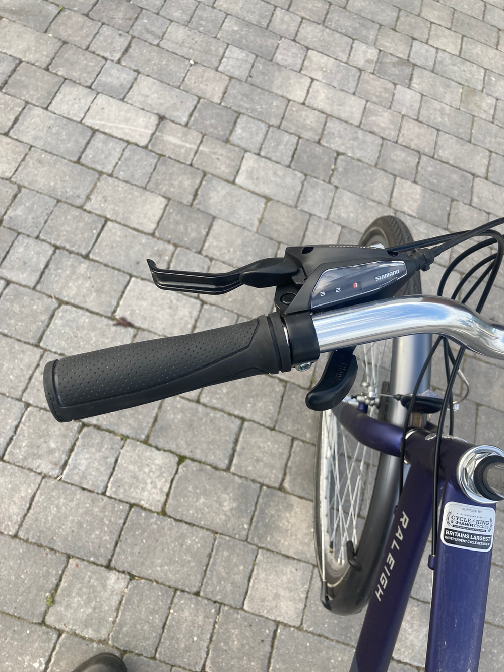 Raleigh Pioneer Tour 2019