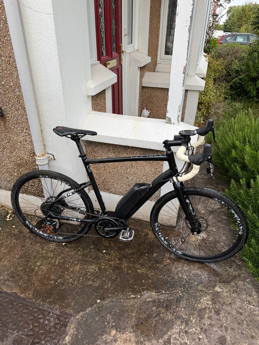Raleigh Mustang E Comp 2019