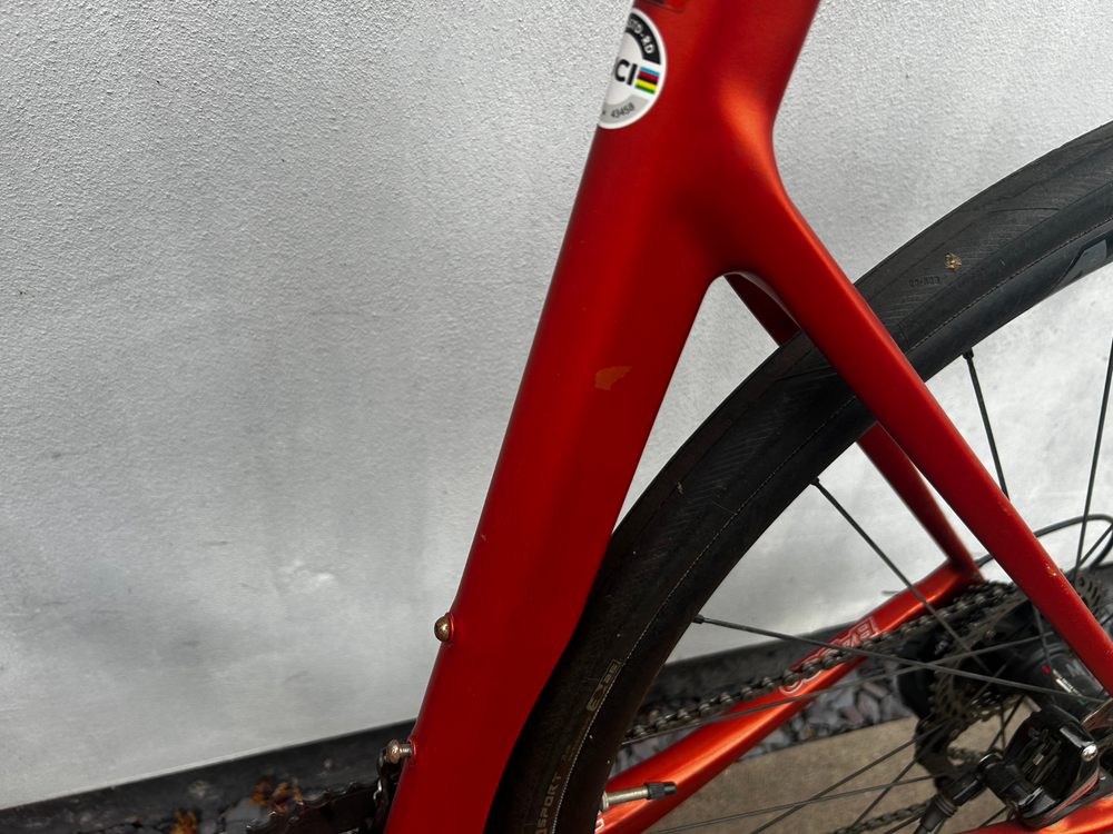 Basso . 2023