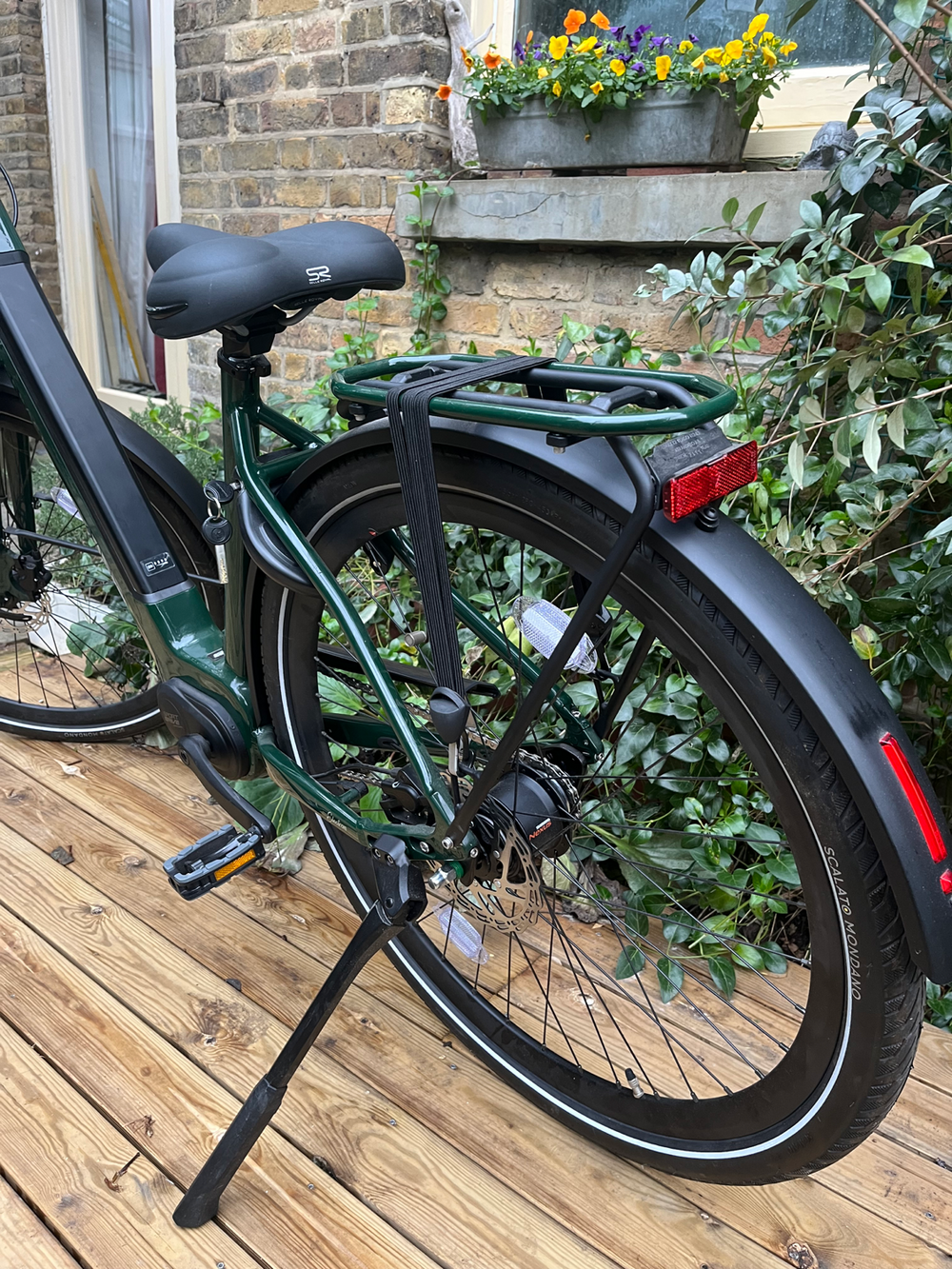 Ridgeback Electron INT 2024