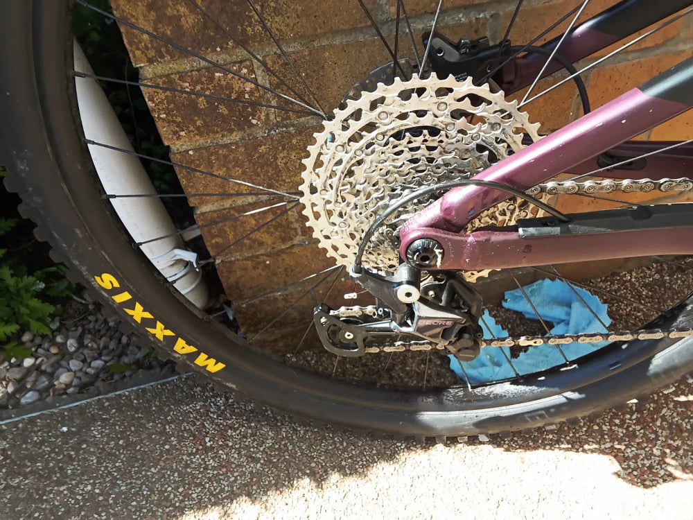 Orbea Rise H15 2022