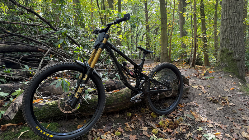 Saracen Myst Team 2024