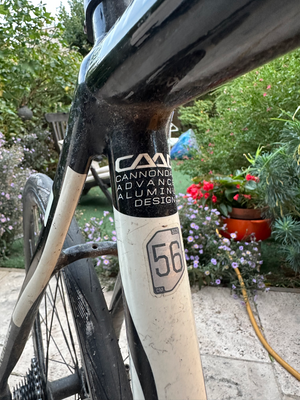 Cannondale Synapse