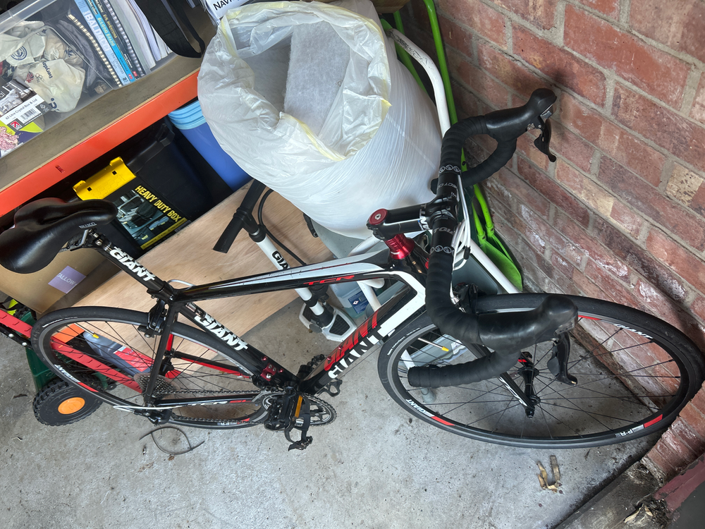 Giant Defy - Advanced 1 2023