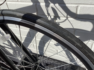 Diamondback Pursuit 2024