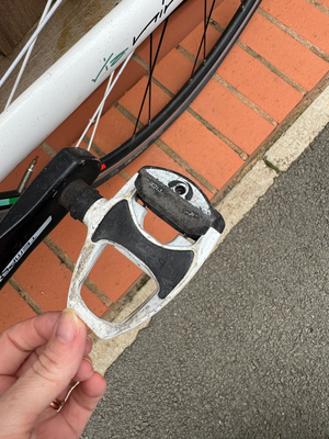 Bianchi Via Nirone Sora 2018
