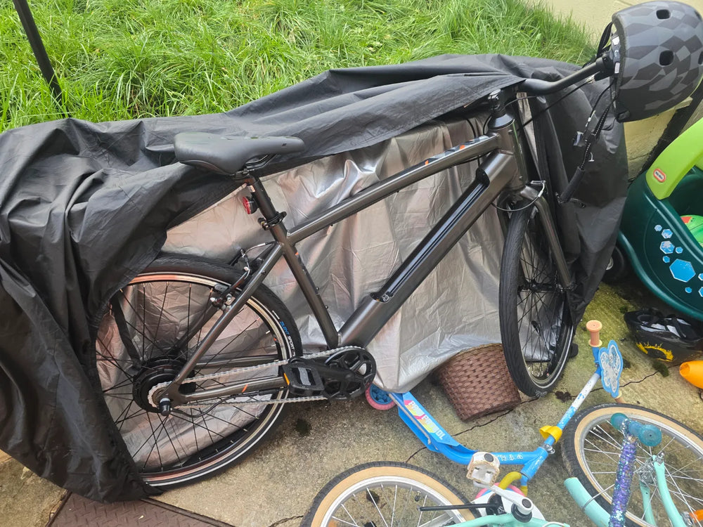 Carrera impel im 2022