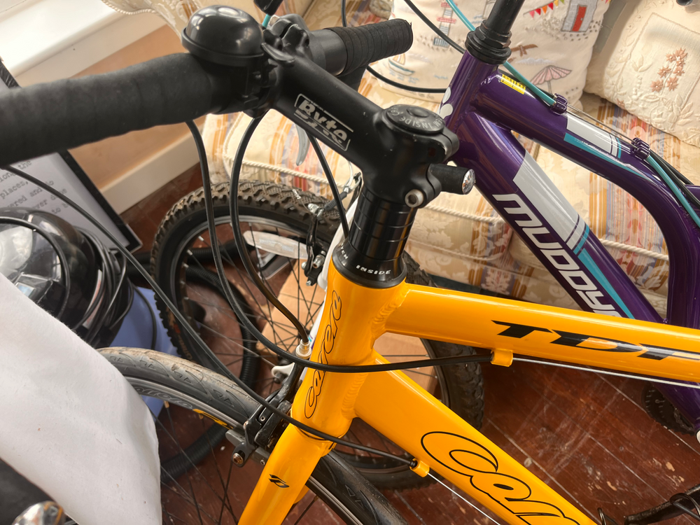 Carrera Tdf 2019