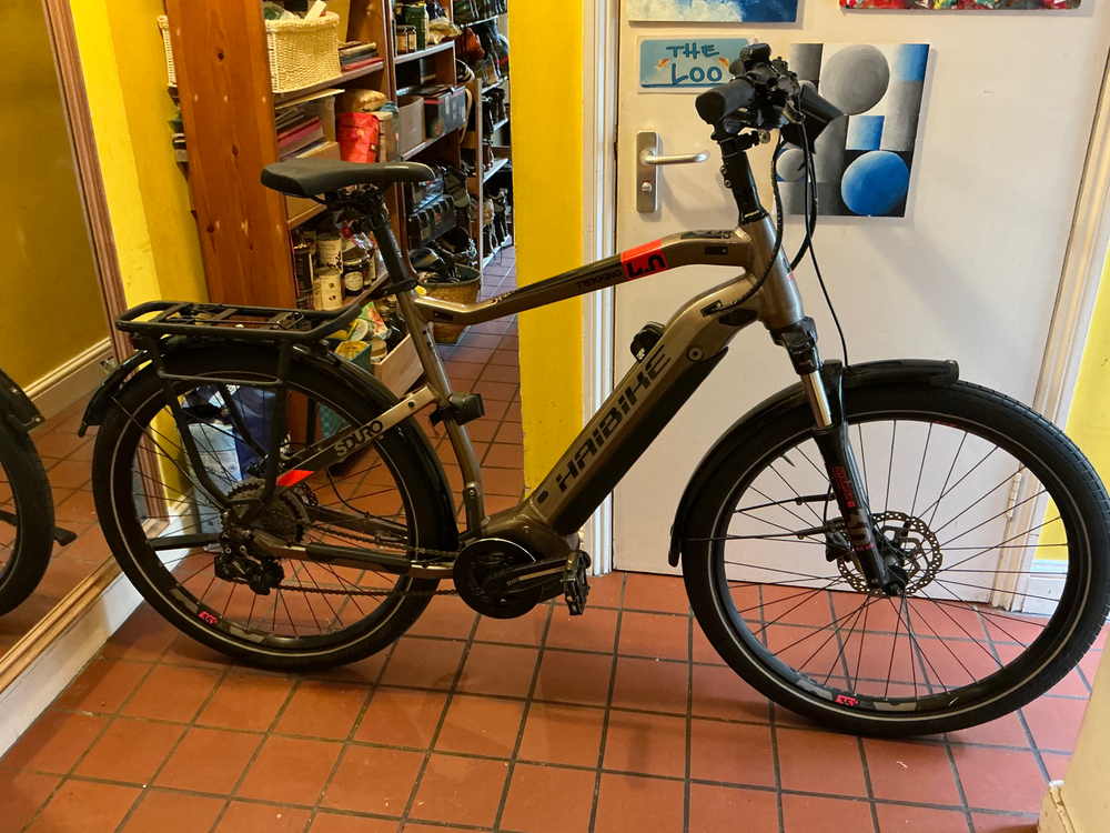Haibike SDURO Trekking 4.0 2020