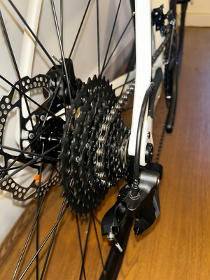 Orbea Avant H50 2026