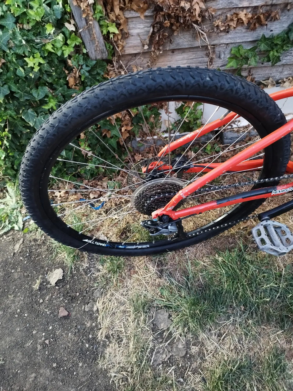 Trek Marlin 7 2021