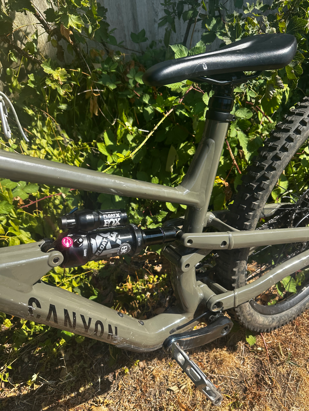 Canyon Spectral 29 6 2022