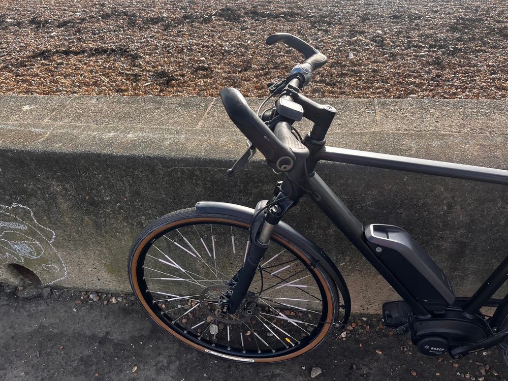 Riese & Muller Roadster 2019