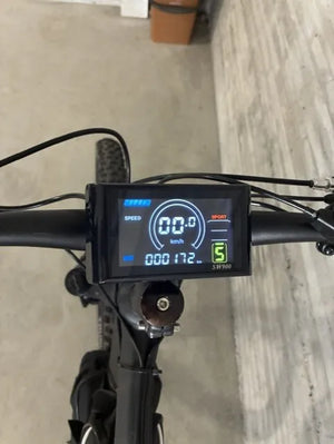Carrera Vengeance , 2024