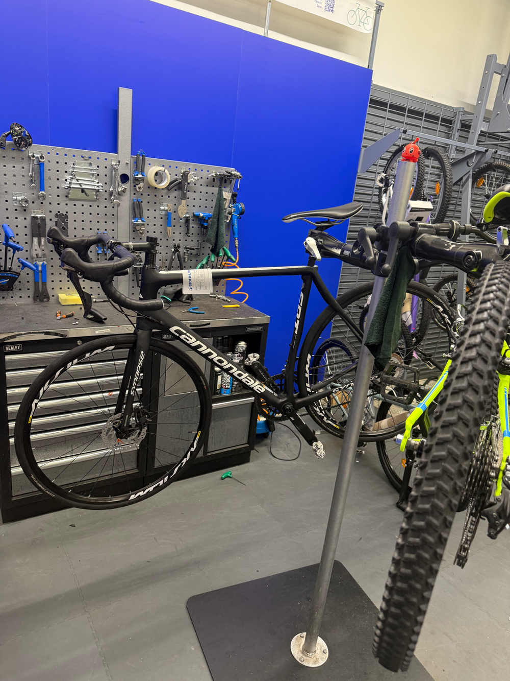 Cannondale Synapse Carbon Disc Ultegra 2020