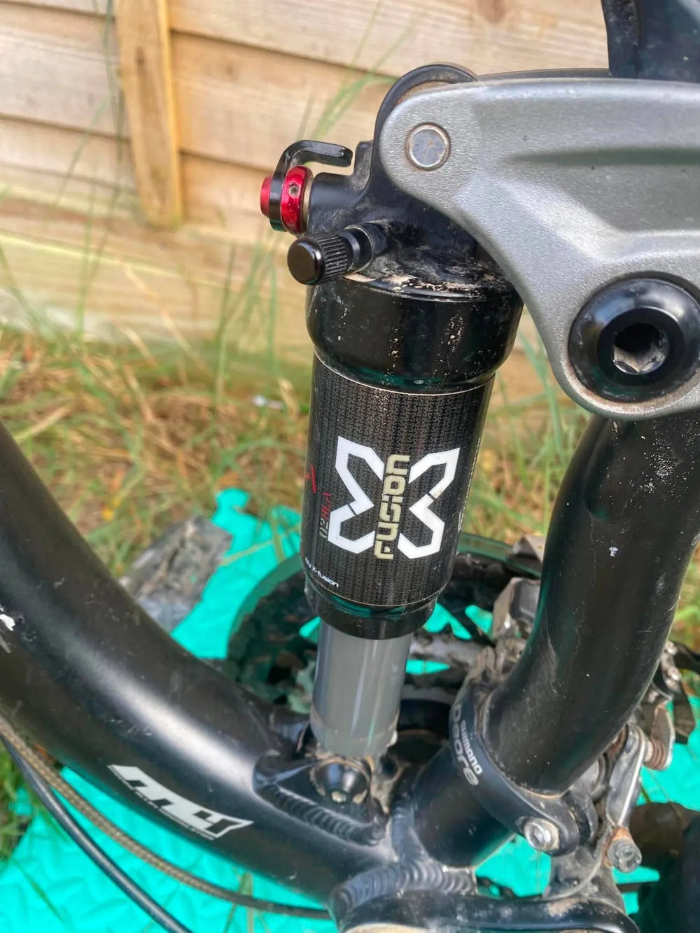 Specialized Vita Expert Carbon Disc EQ 2010