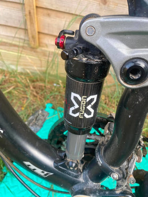Specialized Vita Expert Carbon Disc EQ 2010