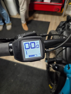 Trek Powerfly 5 Gen 4 2020