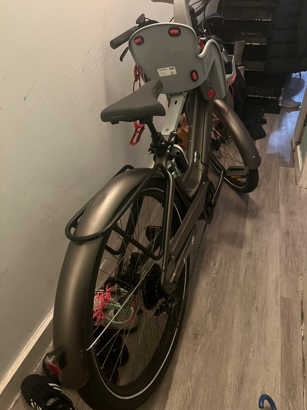 Electra Vale Go! 9D EQ 2022