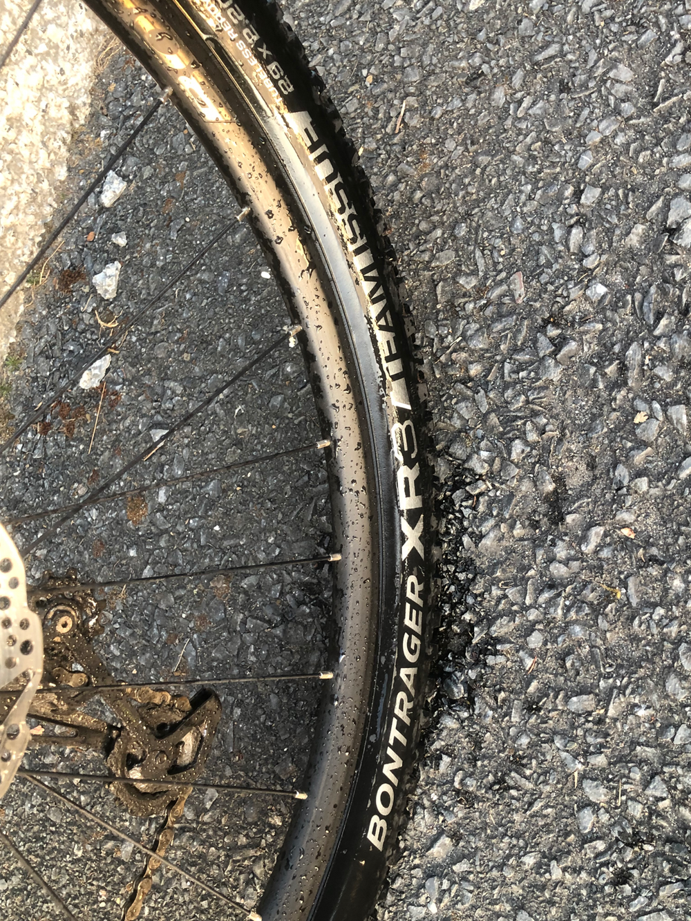 Trek Procaliber 6 29er 2026