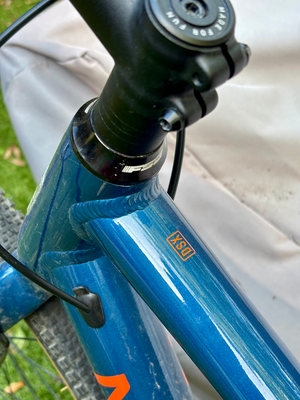 Marin DSX 2025