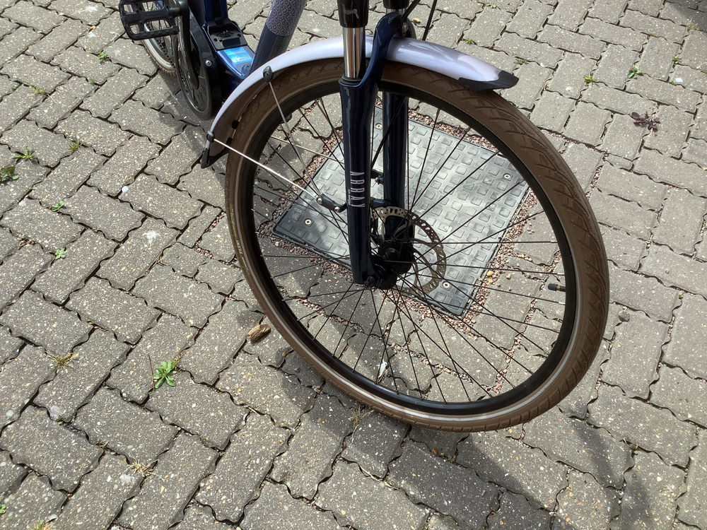 Raleigh Array E Motion Low Step 2022