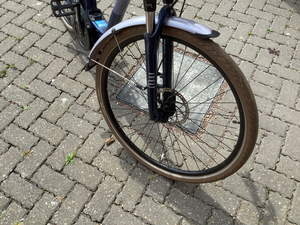 Raleigh Array E Motion Low Step 2022