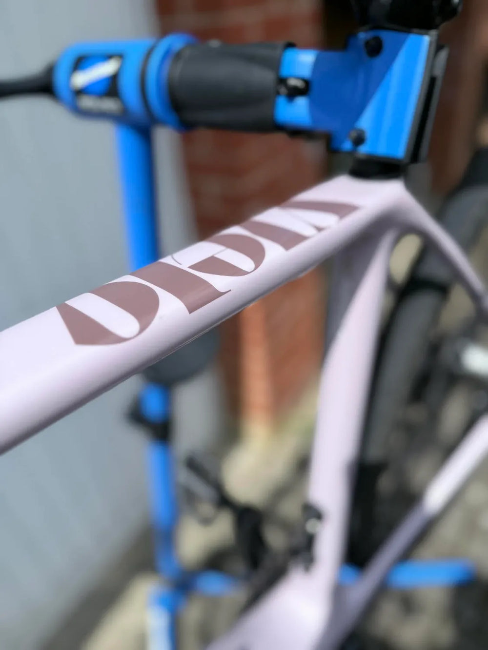 Vielo V+1 2021