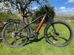 TREK Powerfly 5 2022