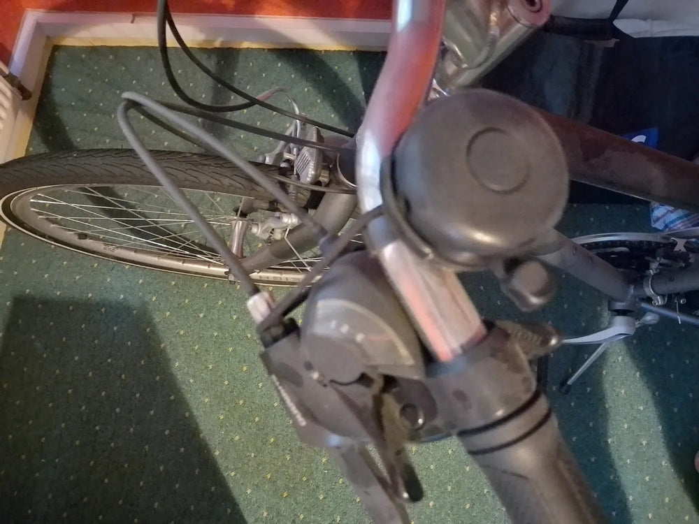 Raligh Pioneer  2024