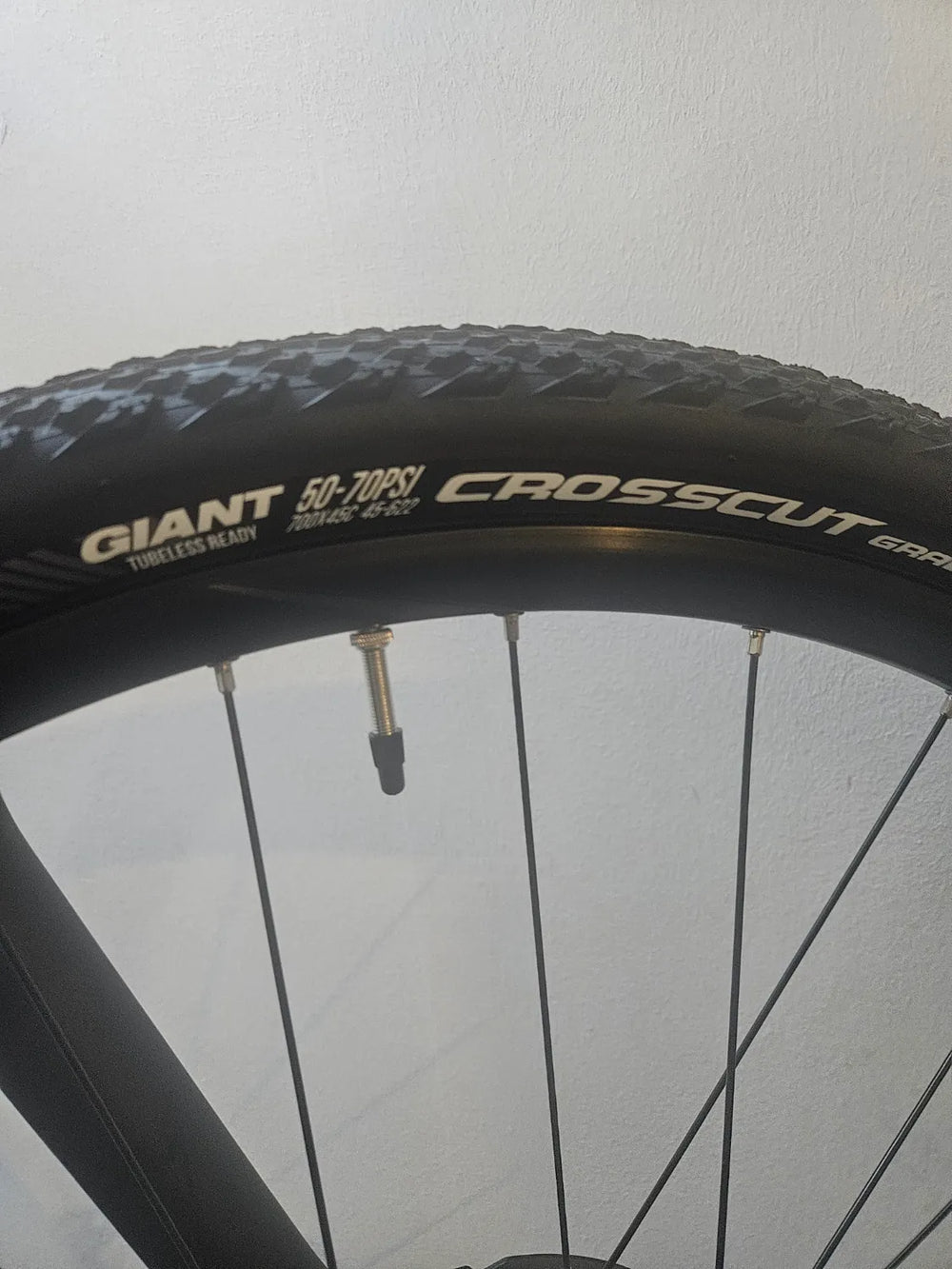 Giant Roam E+ GTS 2022