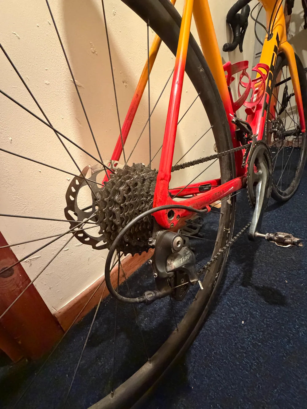 Trek Émonda ALR 4 Disc 2022