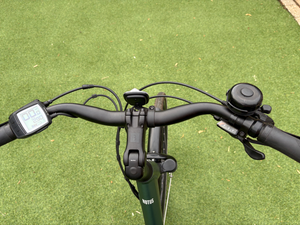 Raleigh Motus Step Through Bosch 2023