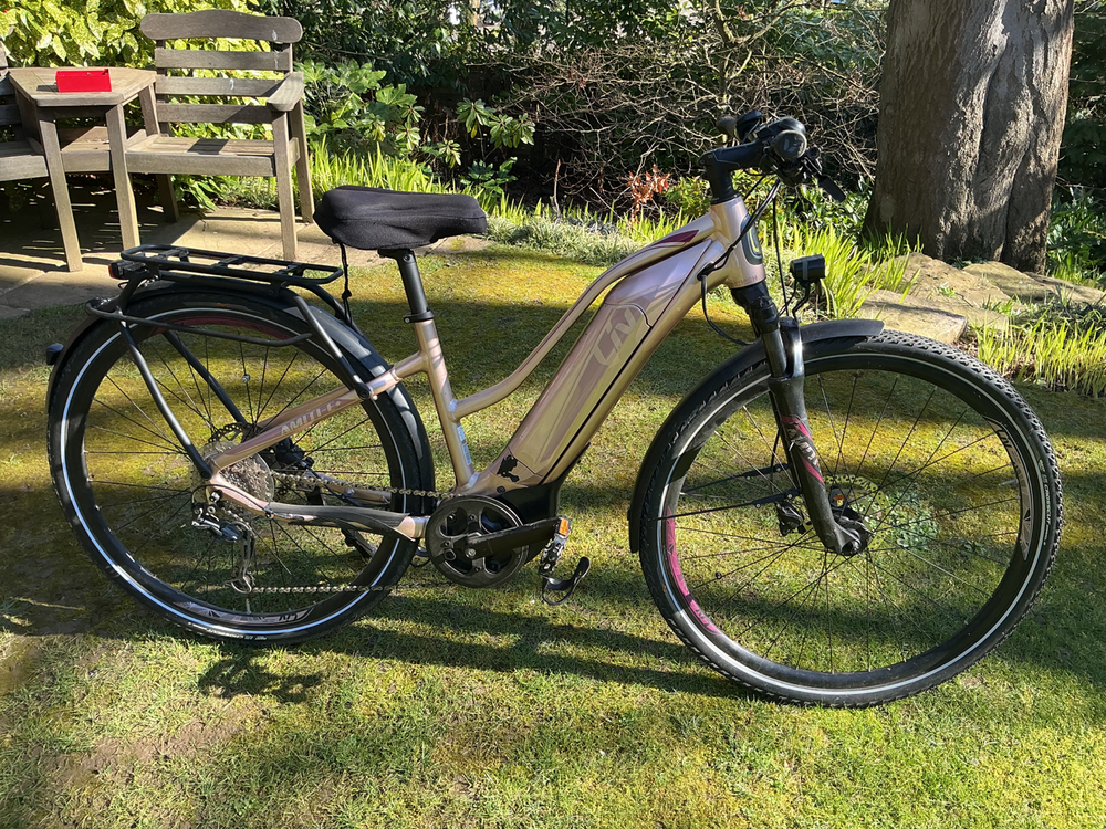 Giant Amti E+ 2019
