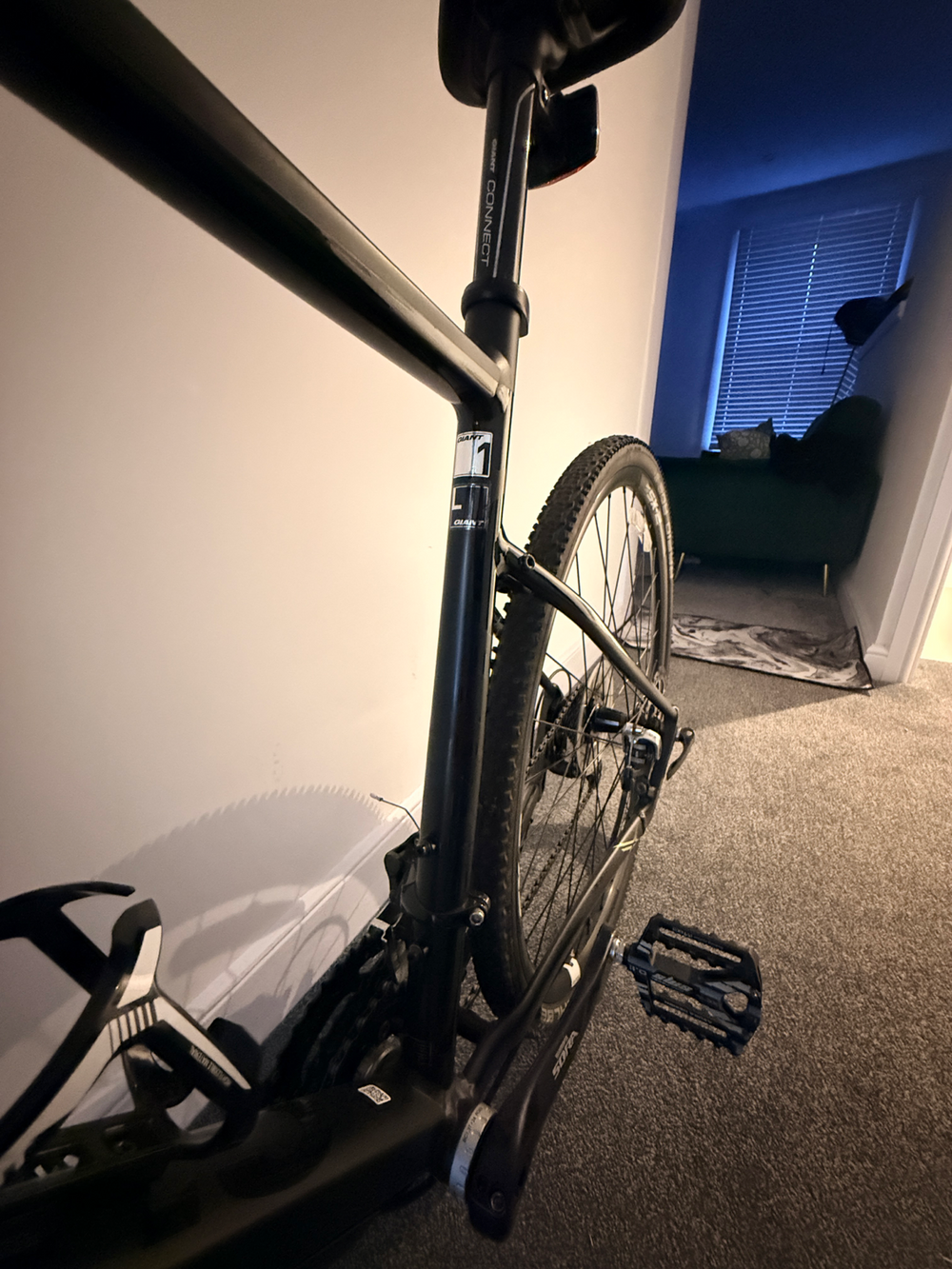 Giant Revolt 1 2017