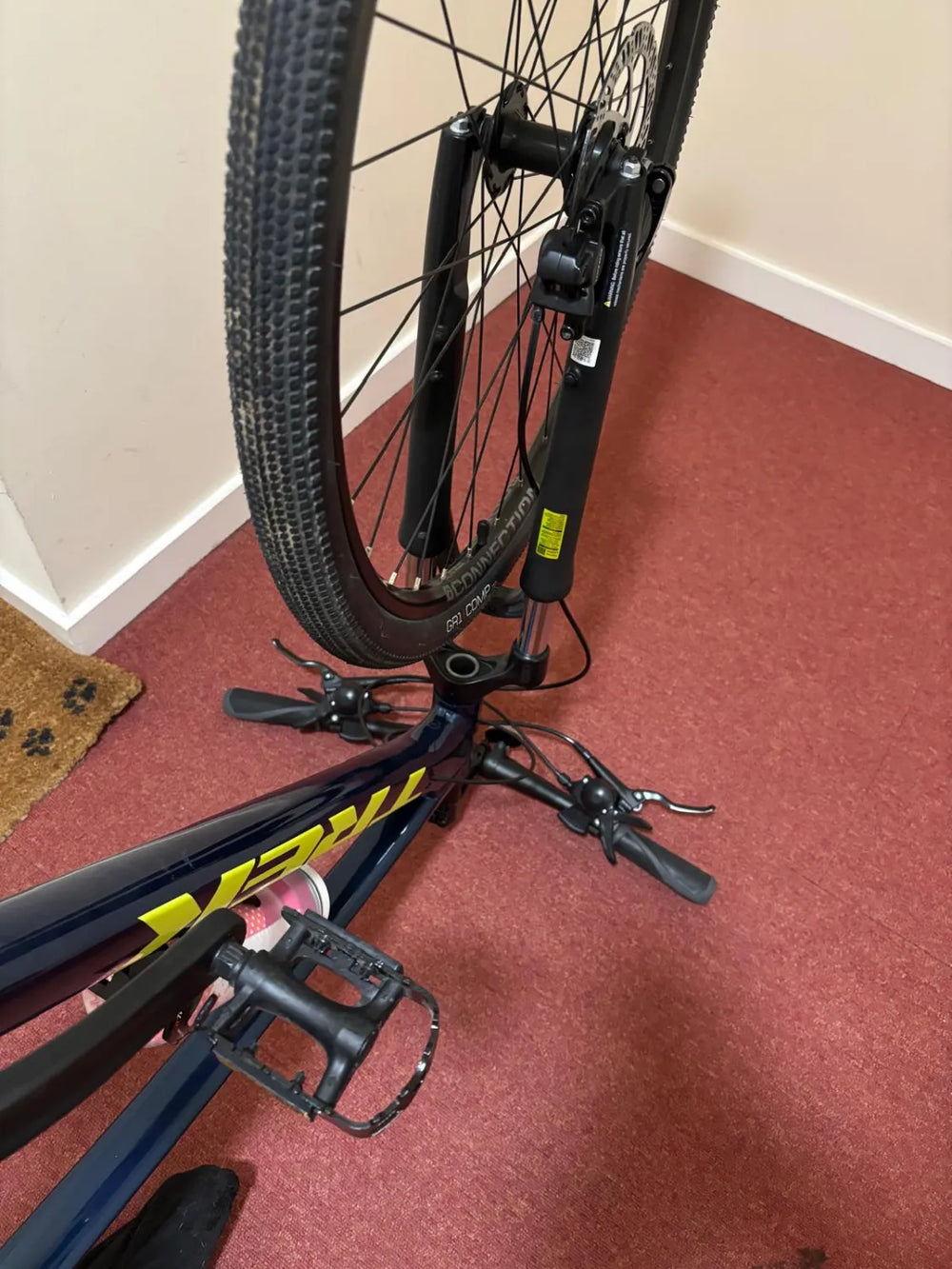 Trek Dual Sport 2 2021