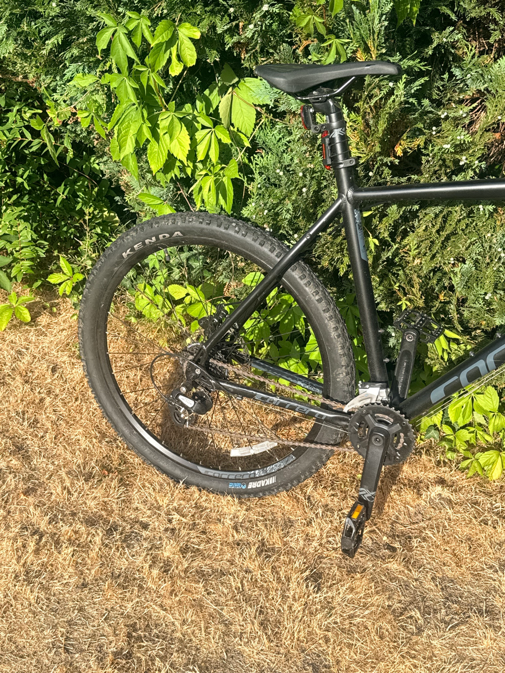 Carrera Vengeance , 2024