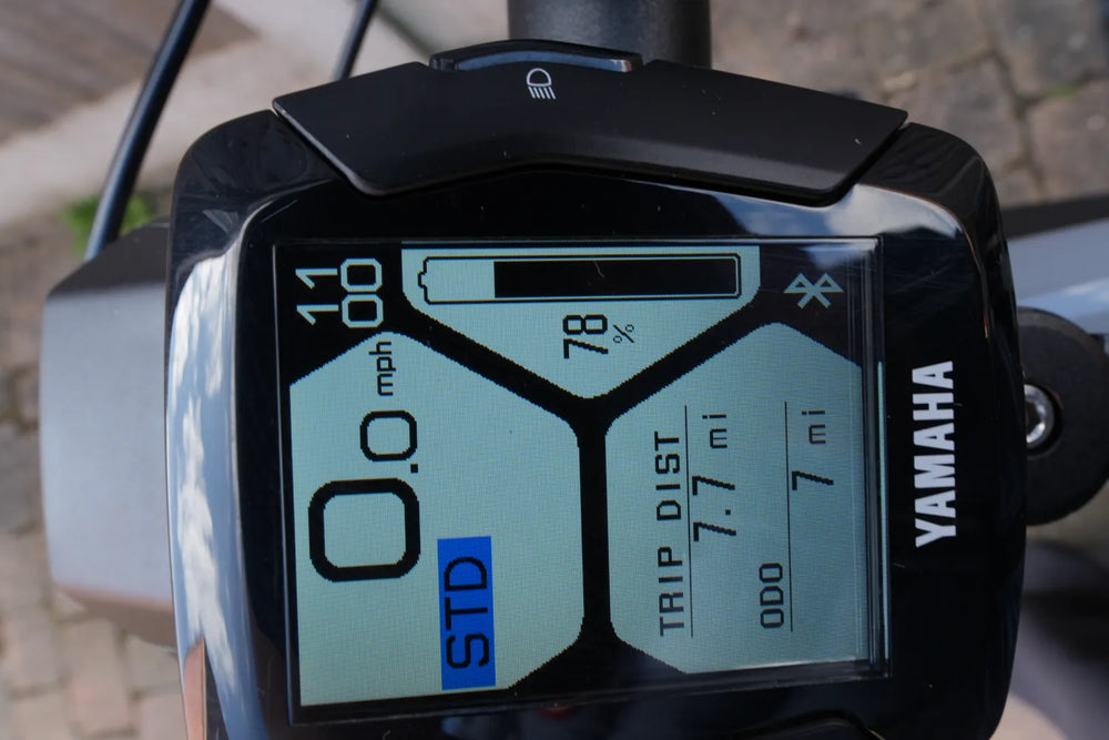 Haibike Trekking 6 Lowstandover 2021