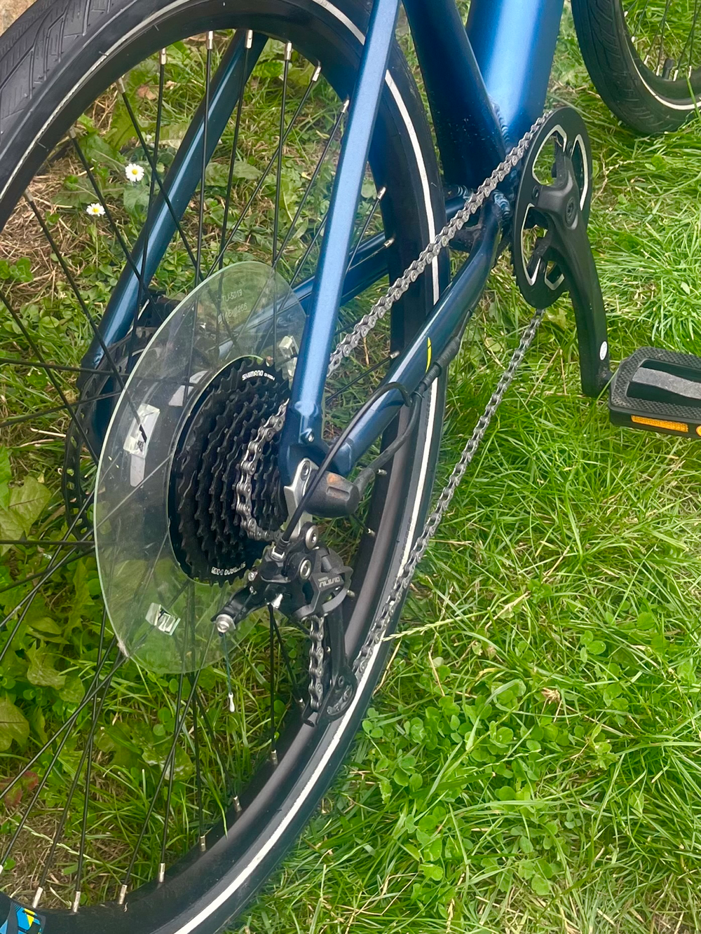 Carrera impel im 2022