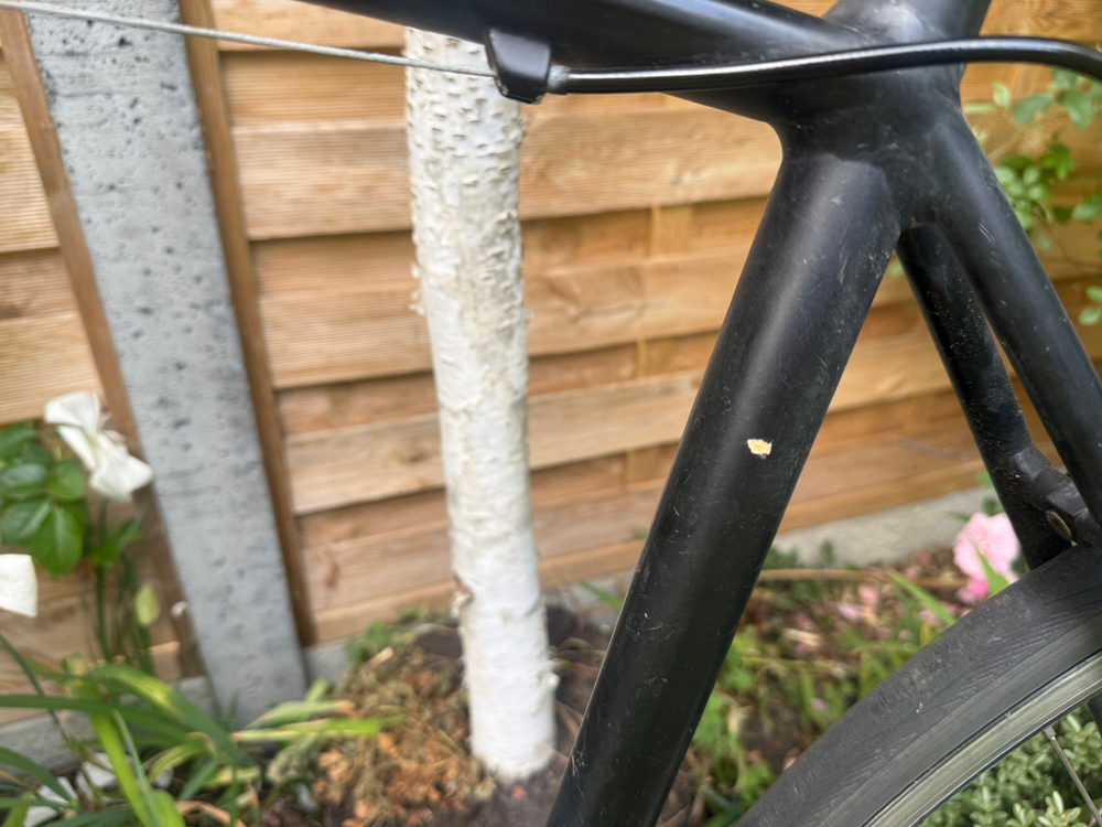 Specialized Allez 2018