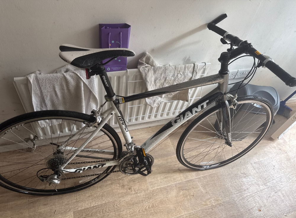 Giant Rapid 3 2013