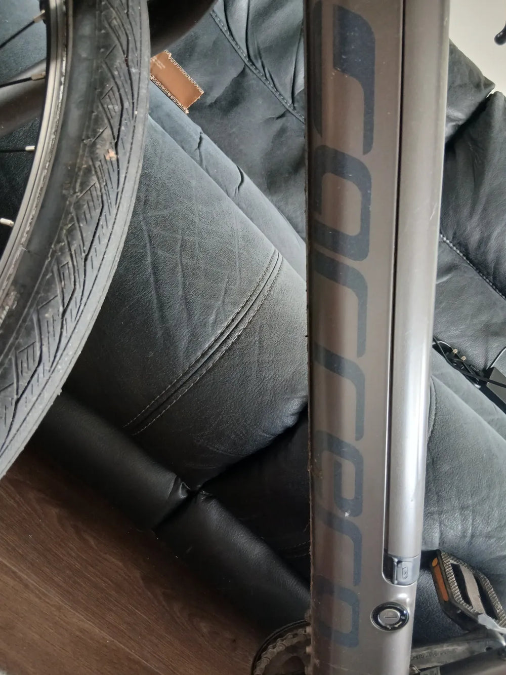 Carrera impel im 2022